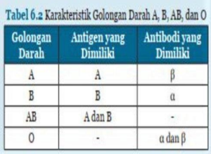 Golongan darah manusia